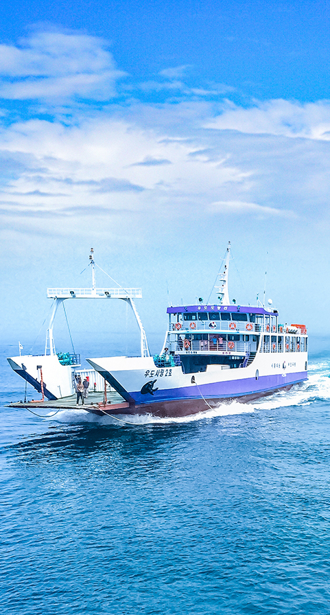 Ship domain